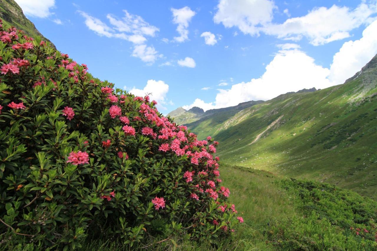 Alp-Aren Daire Galtür Dış mekan fotoğraf