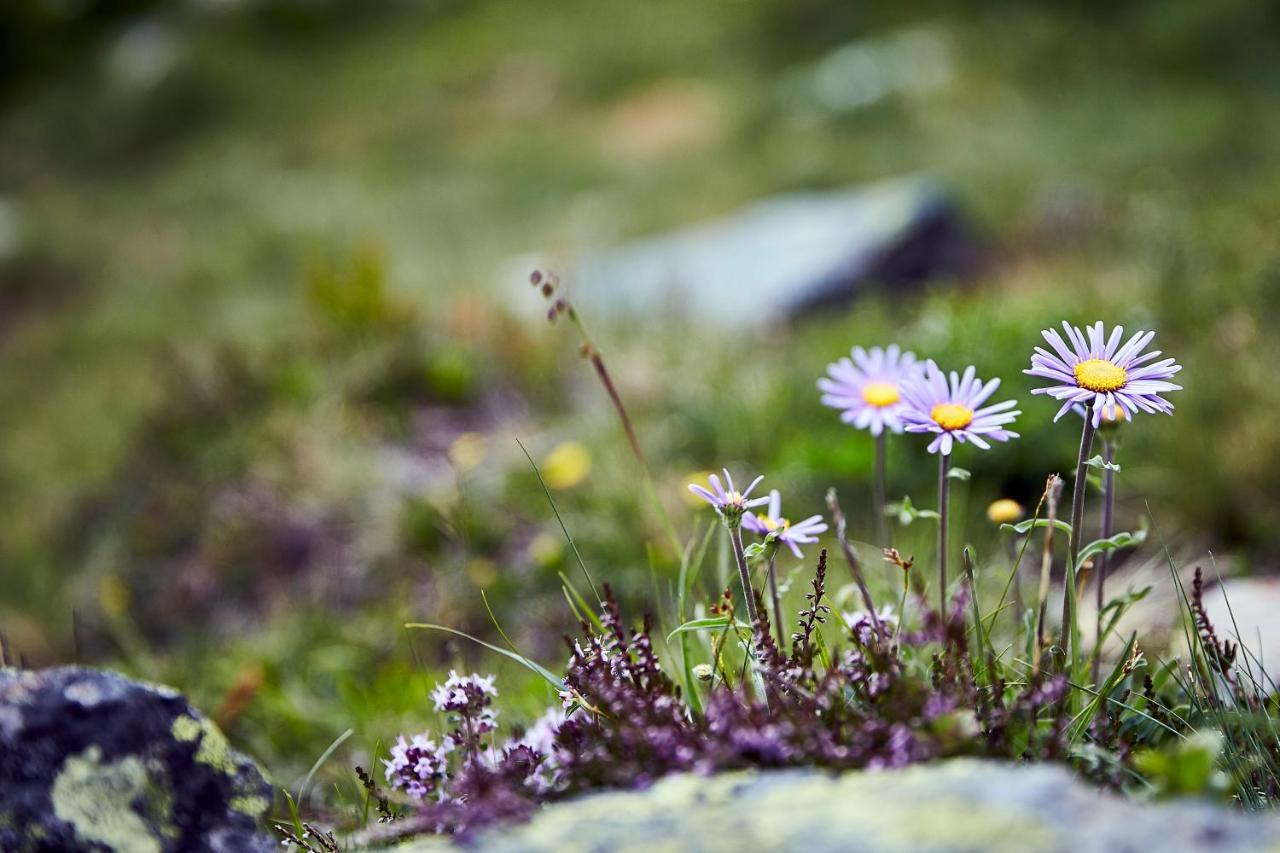 Alp-Aren Daire Galtür Dış mekan fotoğraf